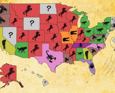 Map Shows the Animal Most Likely to Kill You in Each State