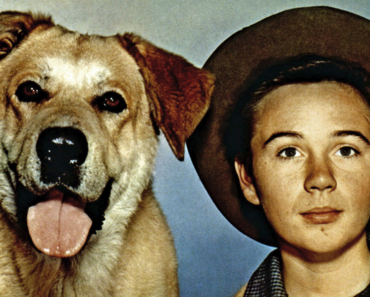 Tommy Kirk, ‘Old Yeller’ Star Tommy Kirk Dead at 79