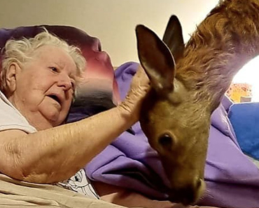 Dying Mom Gets Surprise Visit From Real-Life “Bambi”