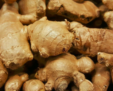 The Many Benefits Of Eating Ginger Every Day