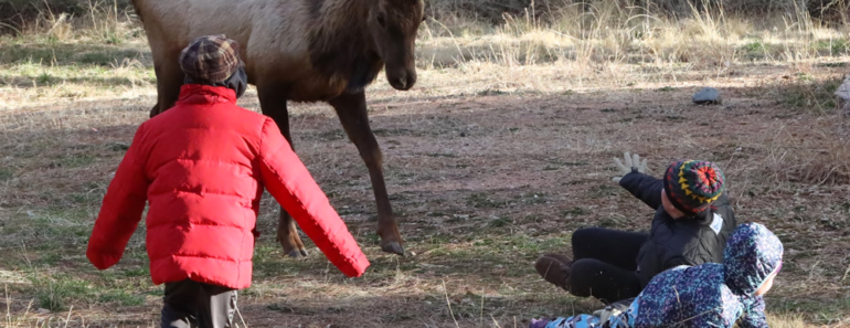 Elk Attacks Mother & Two Children On Playground