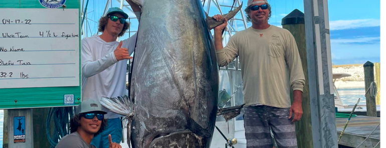 Fishermen Catch Heaviest Bluefin Tuna Ever Caught Off The Florida Coast