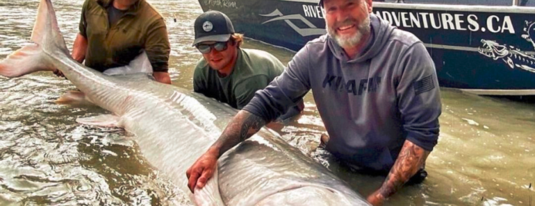 Happiest Fisherman Of All Time Catch 110-Year Old, 700-Pound White Sturgeon